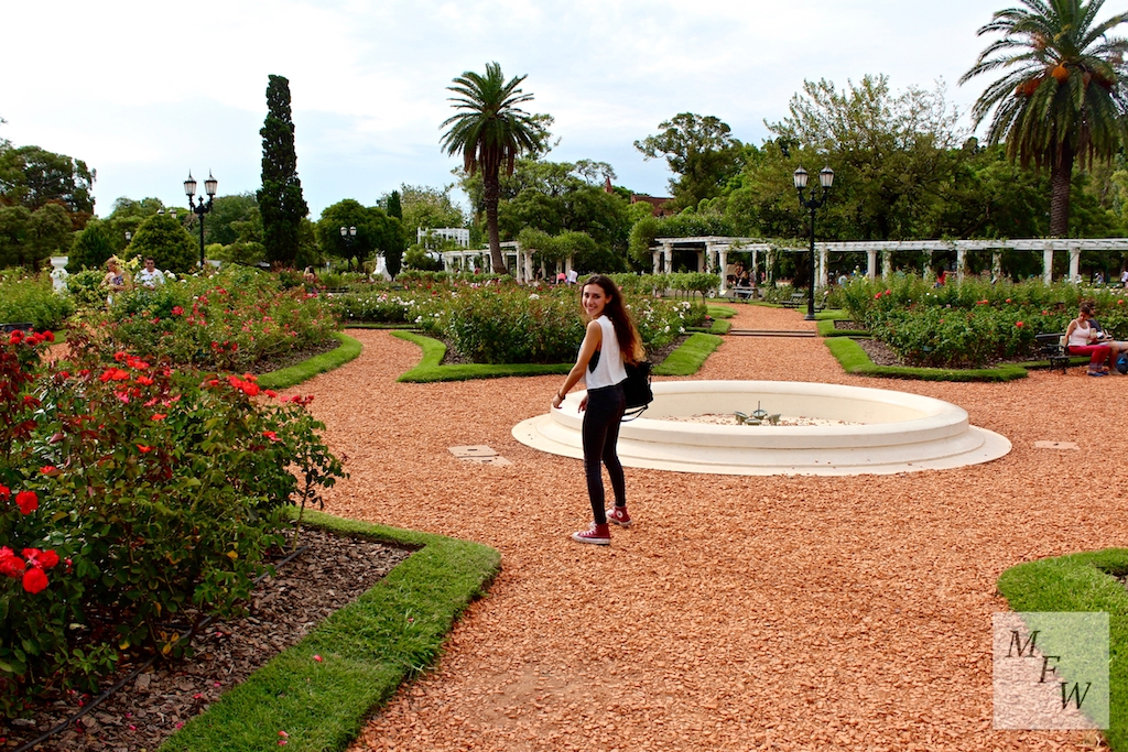 Volunteer Survival Guide: Top 5 Tips for Traveling in Buenos Aires