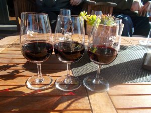 Enjoy some wine in Mendoza